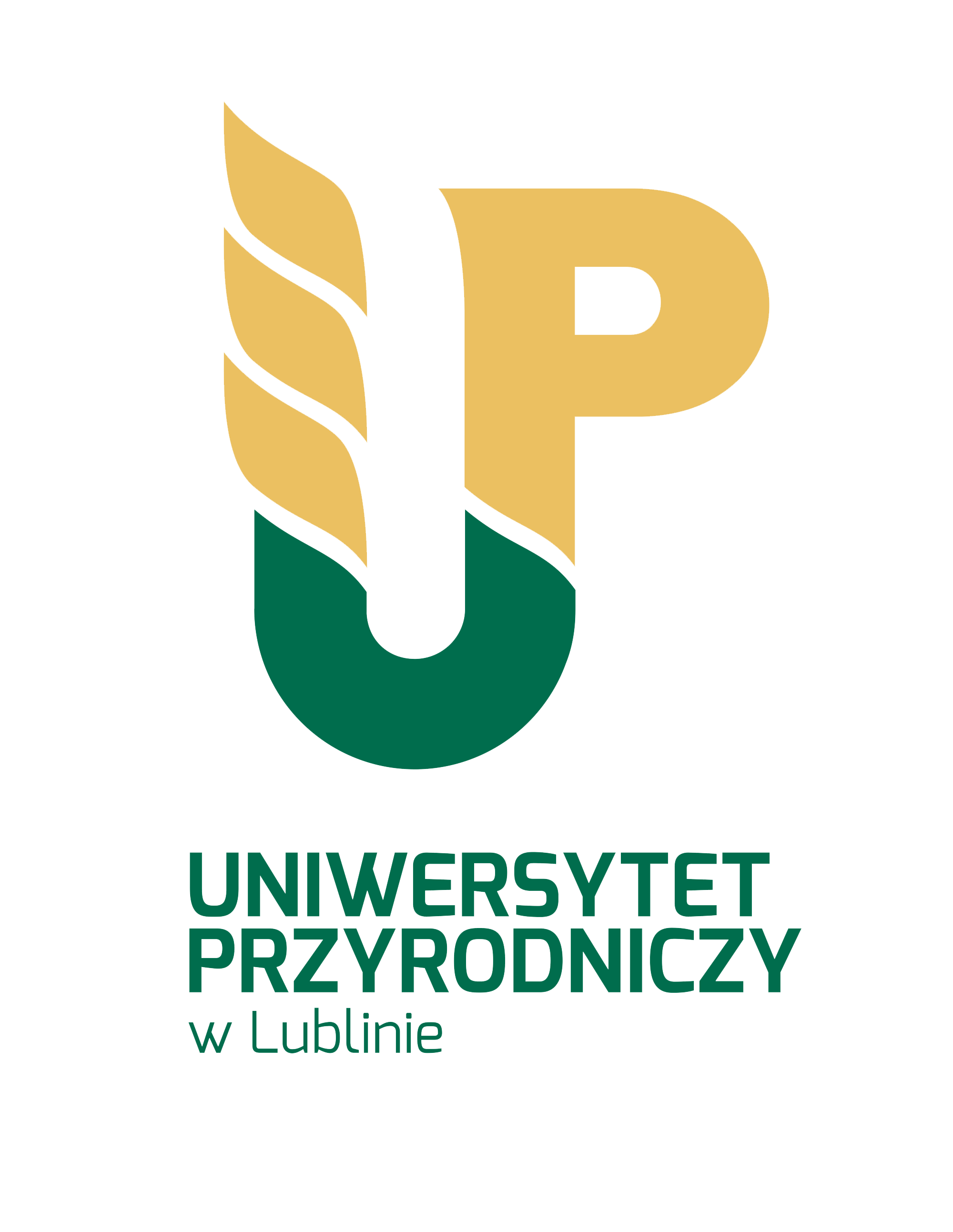 06_up.png